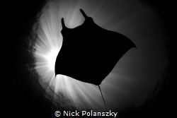 Scorched Black by Nick Polanszky 